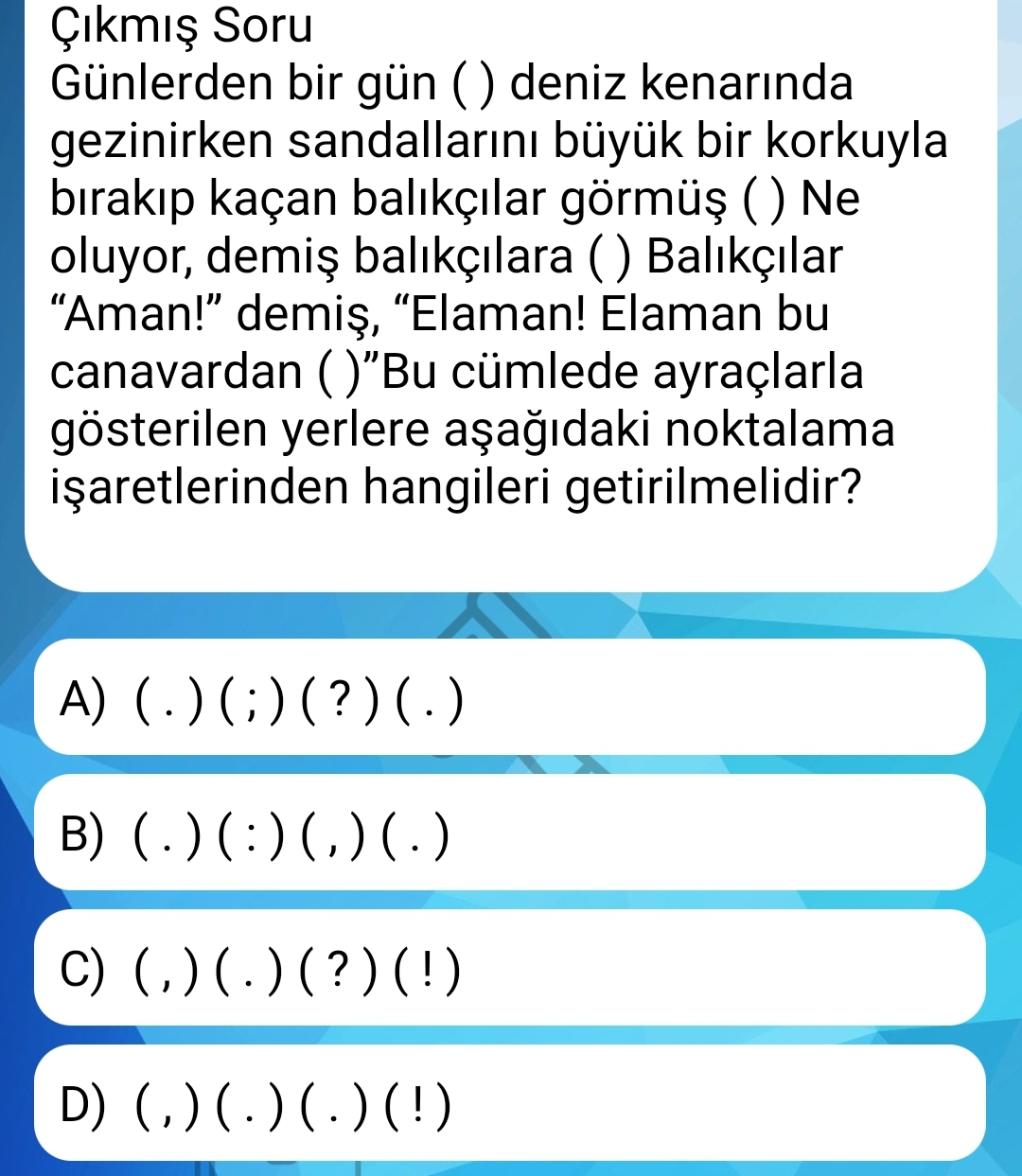 Soru Görseli